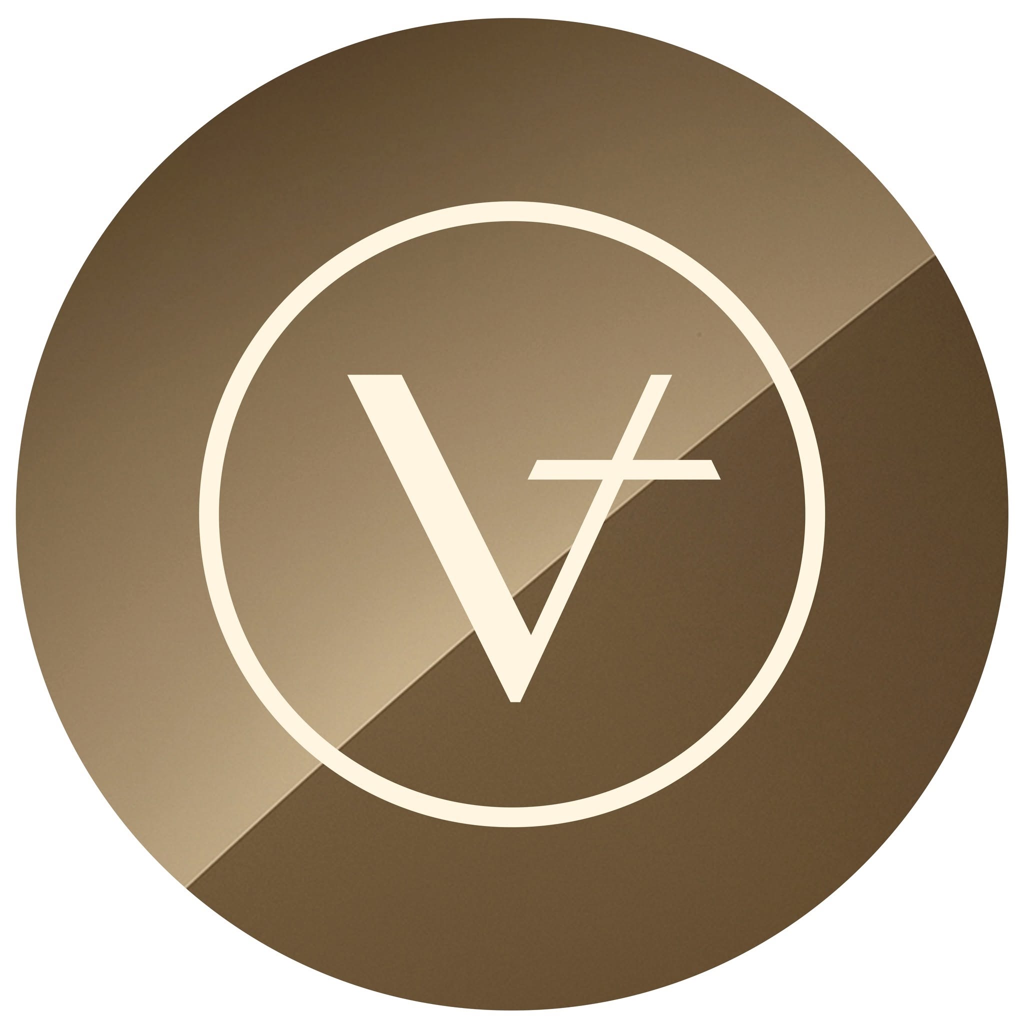 Vanimy logo